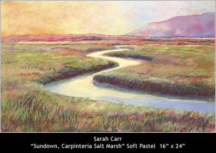 Sarah Carr
